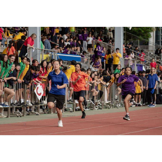 584363105_18091852672928168_335041674758045442_n